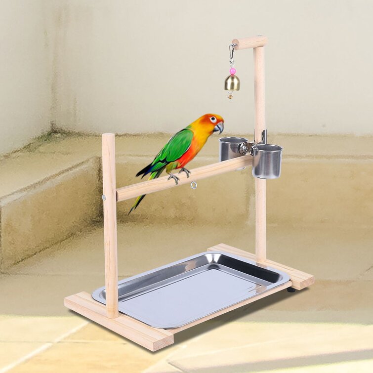 Cheap store parrot stands